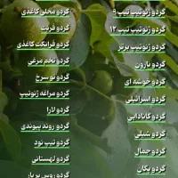 فروش ویژه مجموعه عظیم نهال مرغوب تولیدات مستقیم