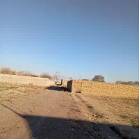 زمین 300متری/روستای محمودیان