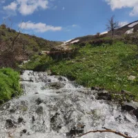 باغ ویلاهای تک