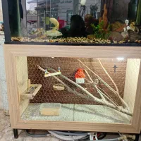 اکواریوم و قفس پرنده