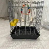 قفس پرنده
