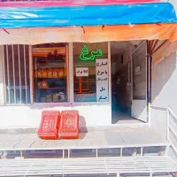 مرغ داودی