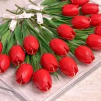 آموزش گل های شمعی انواع شمع به طور مجازی وپشتیبانی