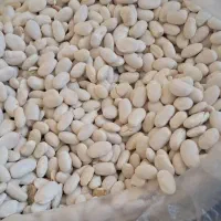 لوبیا سفید بوجاری شده