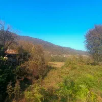 546متری-کوهستانی-سیاهمزگی-شفت