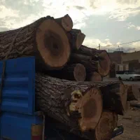 چوب|خدمات باغبانی و درختکاری|کاشان, راوند|دیوار