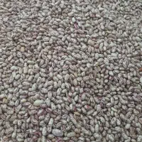 لوبیا چیتی ۴۰۰تومان ۱۰۰کیلو