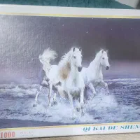 پازل ۱۰۰۰ تیکه