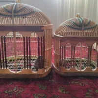 قفس پرنده