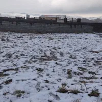 زمین دو نبش ۵۰۰ متری در روستای زیبای زین‌آباد امند|فروش خانه و ویلا|صوفیان, |دیوار