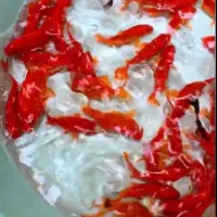 ماهی|ماهی|ارسنجان, |دیوار