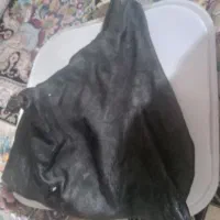 هیزه