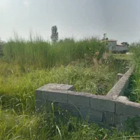 زمین محصورشده درچاف|فروش زمین و ملک کلنگی|چاف و چمخاله, |دیوار