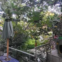 ویلا۶۶۰ متر ۴۰۰ متر بنا سند دار کردان کوهسار تهاتر|فروش خانه و ویلا|کوهسار (البرز), |دیوار