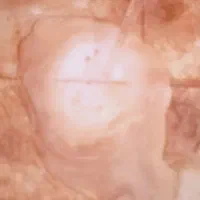 جرمگیر همه کاره.لک پاک کن سطوح.نظافت ارگان ها.|مواد شوینده و دستمال کاغذی|قم, سالاریه|دیوار