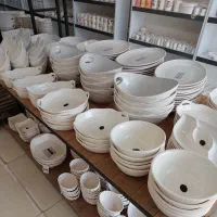 ظروف سرو سرامیکی غذا خوری