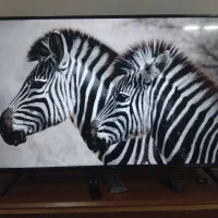 تلویزیون هوشمند تی سی ال ۵۰ اینچ