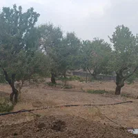۱۰۰۰ متر باغ با فنس محصور شده