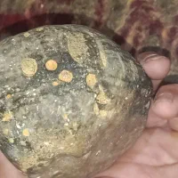 سنگ قیمتی|جواهرات|شیراز, تاچارا|دیوار