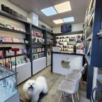 شیاومی Redmi Noye 11 pro 4G 256Gig ram8 درحدنو|موبایل|رشت, چله خانه|دیوار