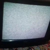 تلوزیون21 وگیرنده دیجیتال انتن هانی|تلویزیون و پروژکتور|مشهد, رسالت|دیوار