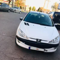 206 در حد|خودرو سواری و وانت|رفسنجان, |دیوار