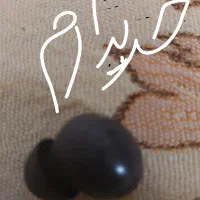 ایرپاد بادز 2  پرو سامسونگ