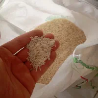 برنج طارم وفجر|عمدهفروشی|همدان, |دیوار