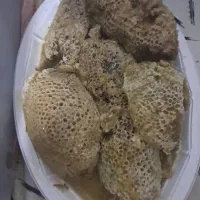 عسل وحشی خوزستان|خوردنی و آشامیدنی|تهران, اتابک|دیوار