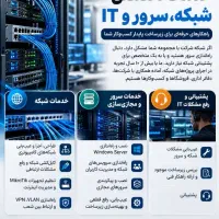 خدمات تخصصی شبکه، سرور و IT
