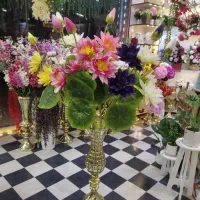 «گل نیلوفر نو» به قیمت خرید