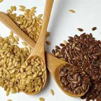 آموزش طب سنتی در کنار درآمدزایی