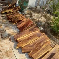 چوب|خدمات باغبانی و درختکاری|کاکی, |دیوار