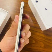Iphone 11|موبایل|قم, شهرک قدس|دیوار