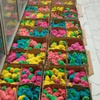 جوجه رنگی فوق‌ الاده سرحال