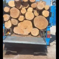 خریدار چوب چنار و کاج تنه و الوار با بهترین قیمت