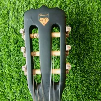 گیتار دایموند|گیتار، بیس، امپلیفایر|اردبیل, |دیوار