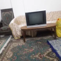 تلویزیون