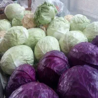 سبزی و میوه|خوردنی و آشامیدنی|کاشان, میدان کهنه|دیوار