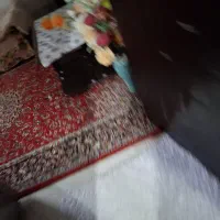 مبل چوبی 9 نفره|مبلمان خانگی و میز عسلی|سلمان‌شهر, |دیوار