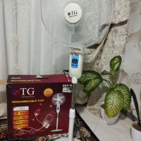 پنکه