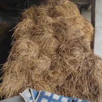 سرچینا دستی بسته