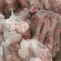 قلم گوساله و شتر . پاچه شتر.سیرابی