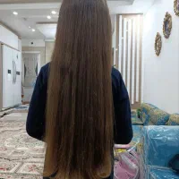 صادر کننده اصلی هستم