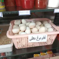 تخم مرغ محلی