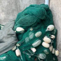 تورغلایه|ماهیگیری|بندرلنگه, |دیوار