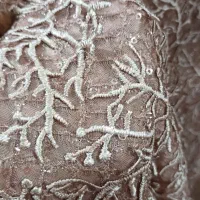 لباس مجلسی|لباس|تویسرکان, |دیوار