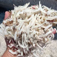 فروش تفاله چغندر خشک و تر