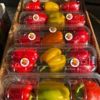 نیرو کار جهت بسته بندی میوه