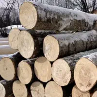 خریدچوب صنوبر و جنگلی باغی